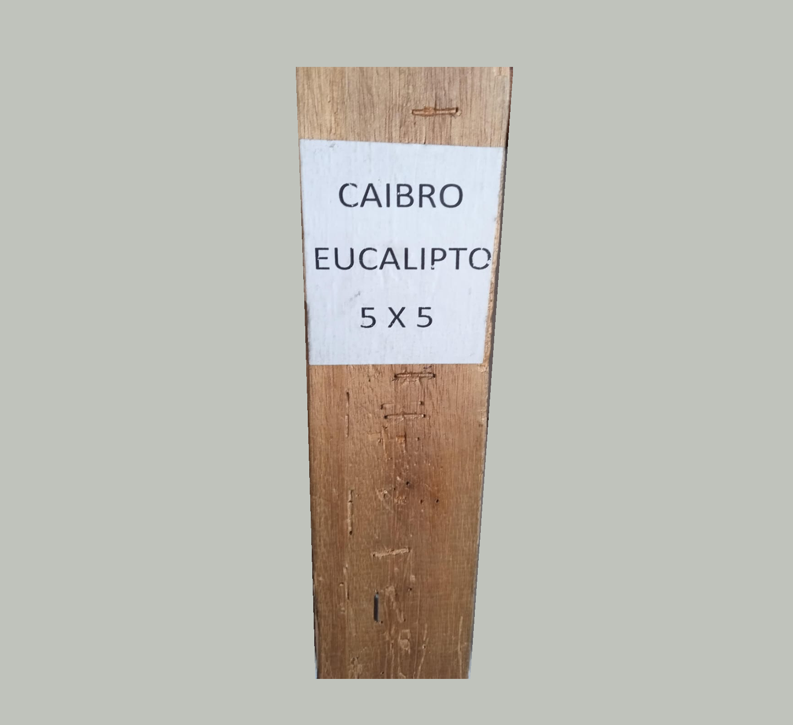 CAIBRO DE EUCALIPTO